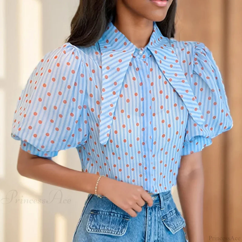 Gracefully Designed Blouse
