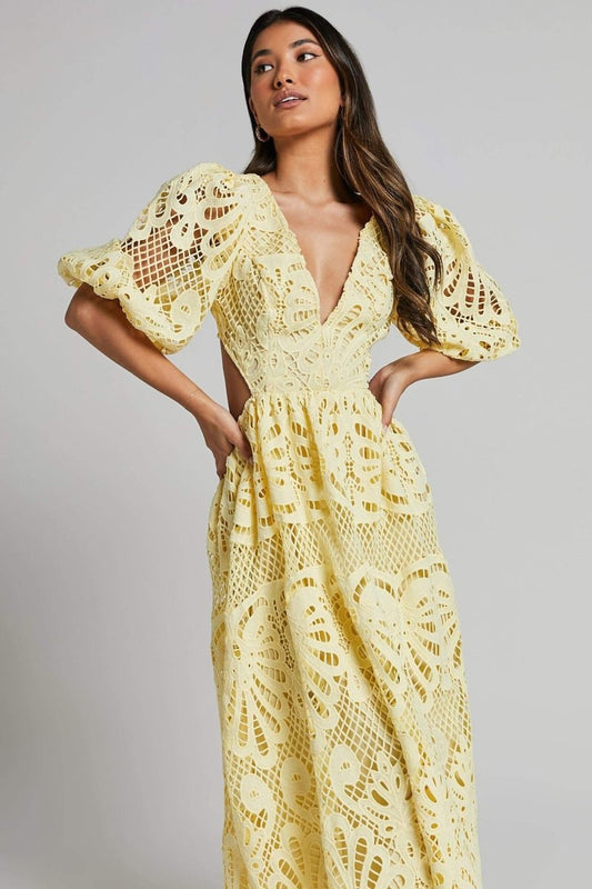 Elegantly Designed Dress